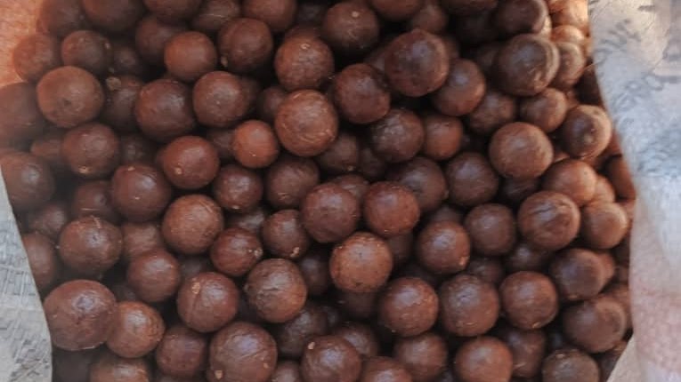 Why Macadamia Nuts Are Good for You