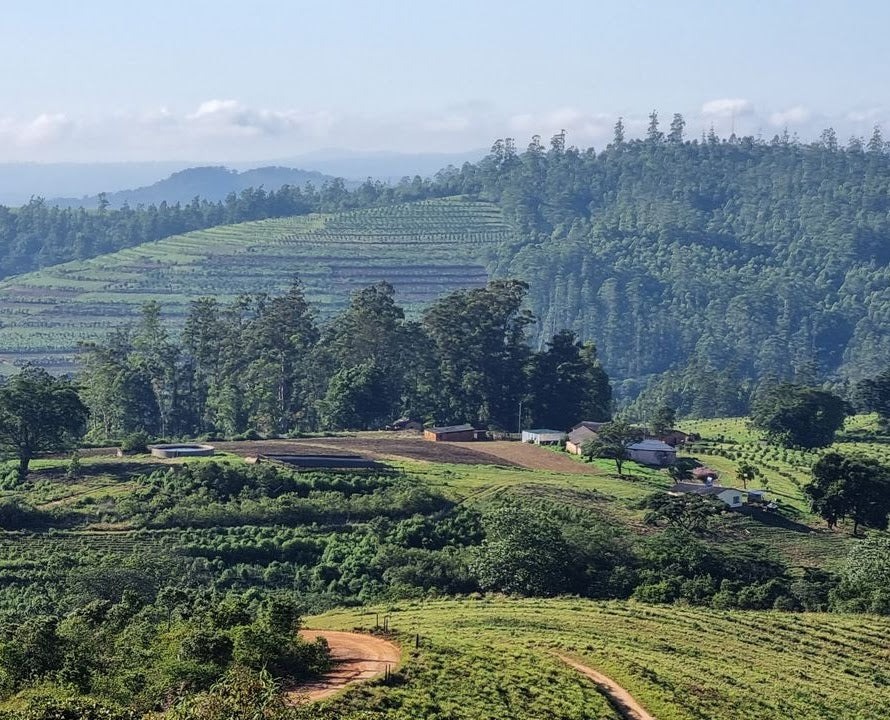 Scoot Around the Orchards